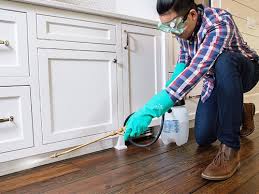 Best Residential Pest Control  in Kenneth City, FL