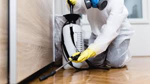 Best Commercial Pest Control  in Kenneth City, FL